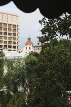 Window View of City Hall